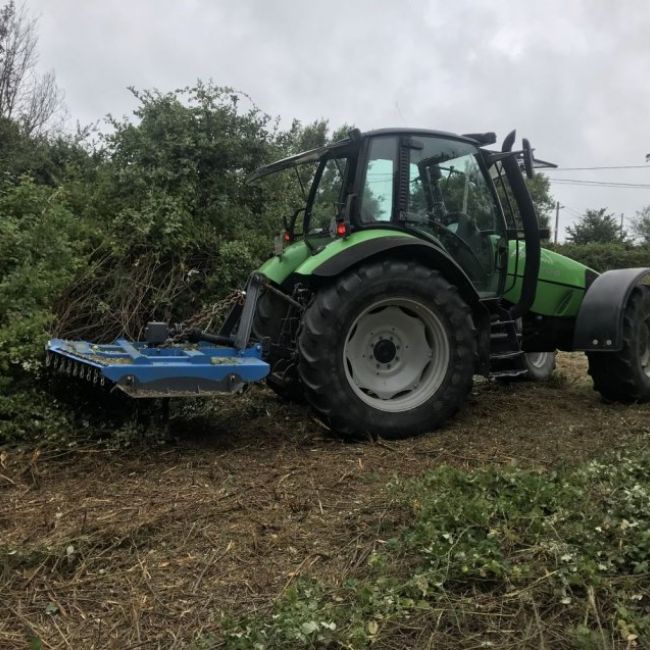 Trabajos de desbroce