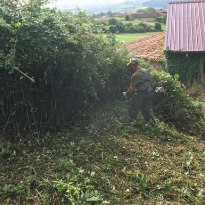 Trabajos de desbroces en asturias