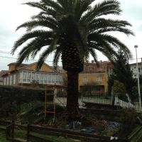 Mantenimiento de Jardines en Asturias