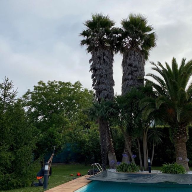 Servicios de Jardinería en Asturias