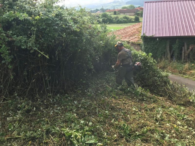 Trabajos de desbroces en asturias