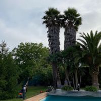 Servicios de Jardinería en Asturias