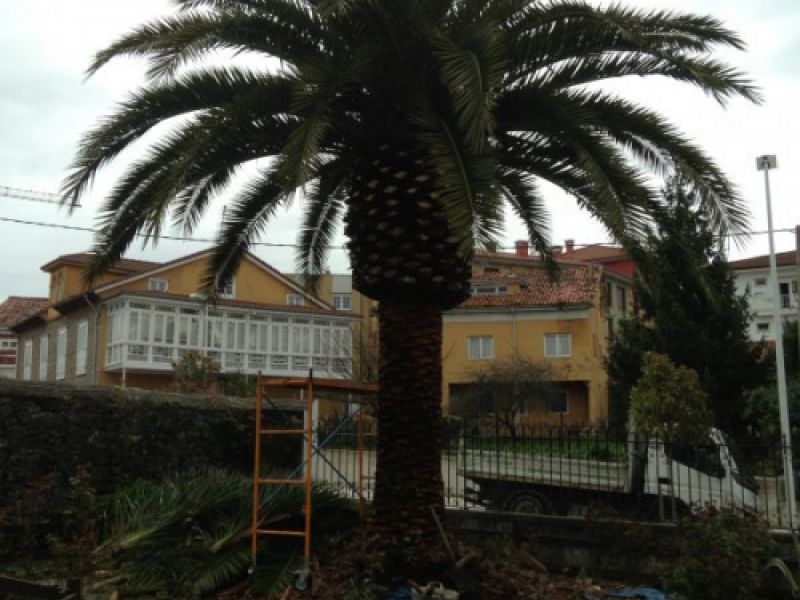 Jardinería Asturias