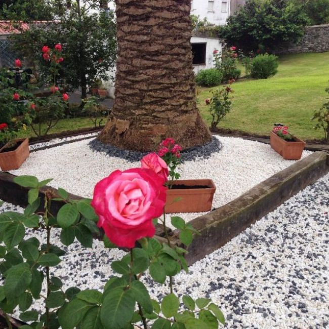 Diseño de jardines en Gijón