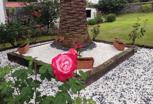 Diseño de jardines en Gijón