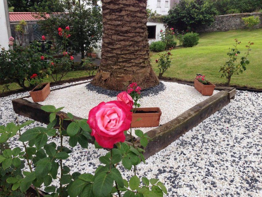 Diseño de jardines en Gijón