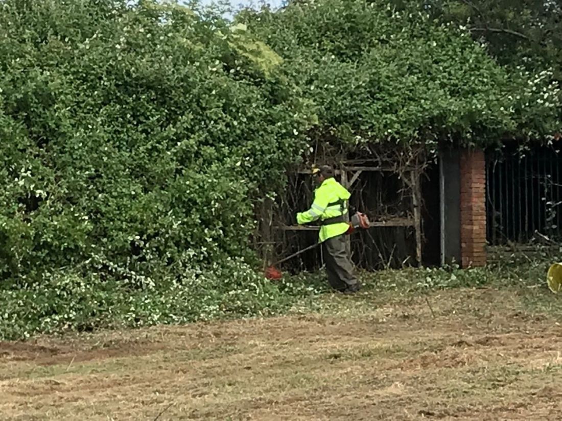 Trabajos de desbroces gijón