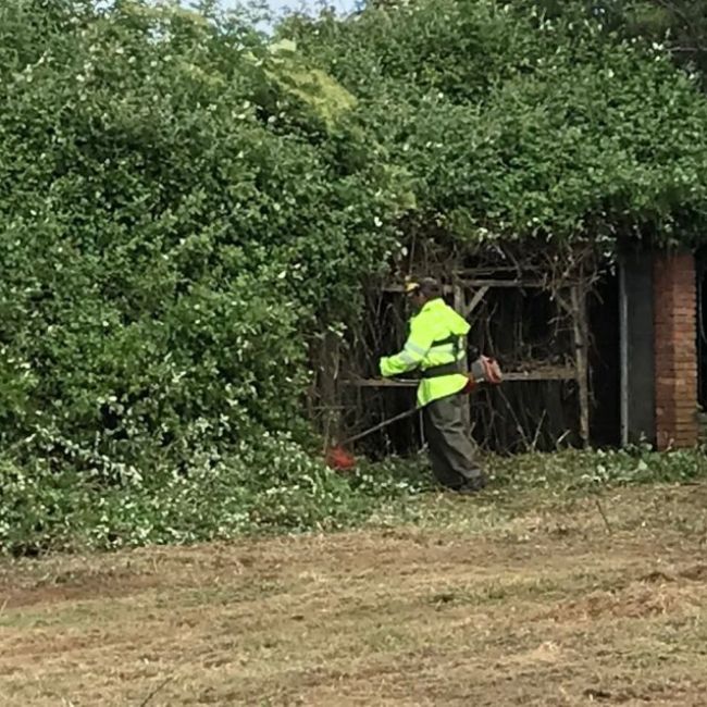 Trabajo de desbroce de parcelas en Oviedo