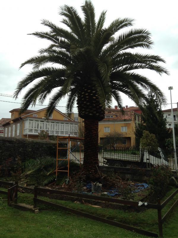 Jardinería Asturias